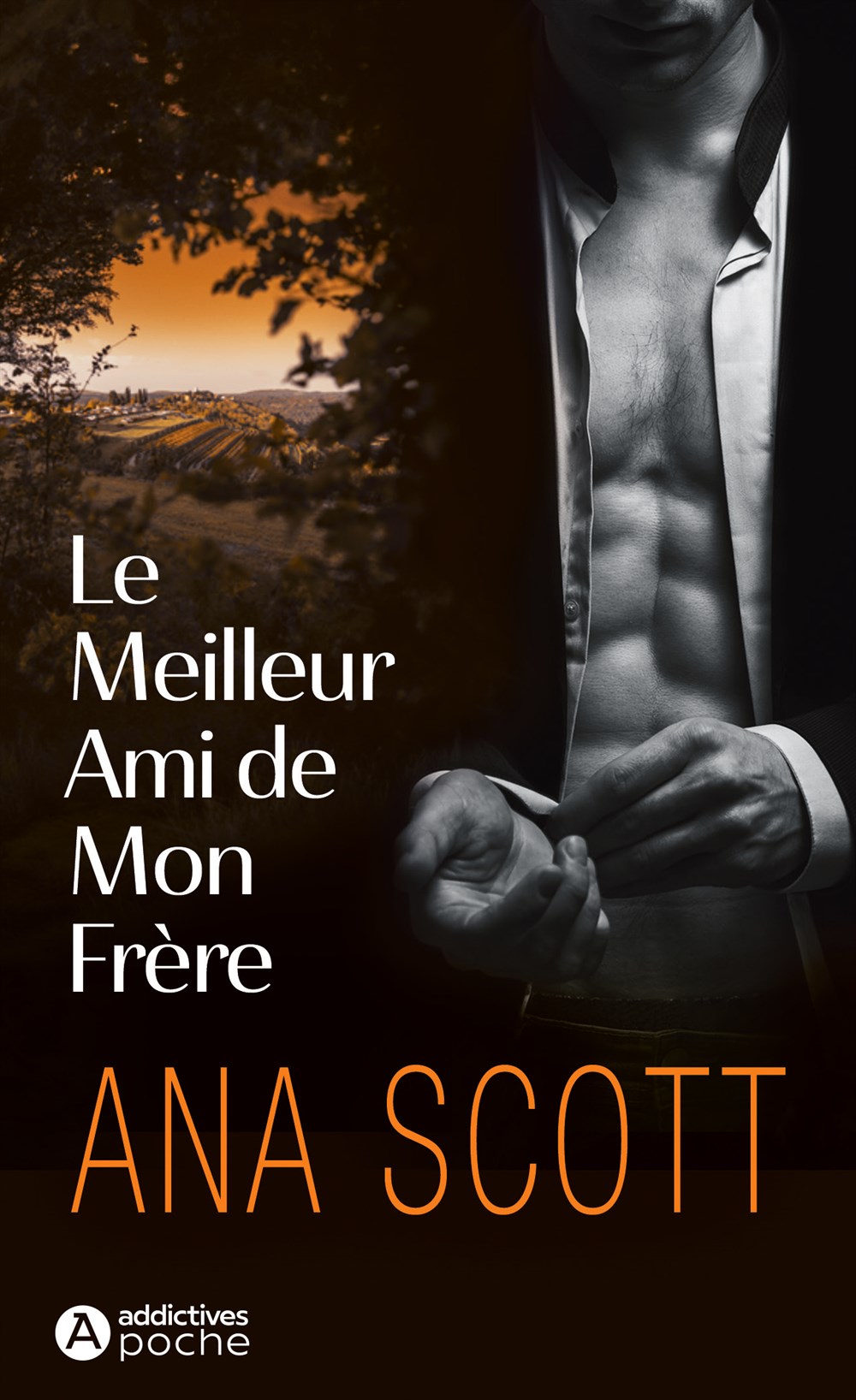 Le Meilleur Ami de mon frère - Ana Scott